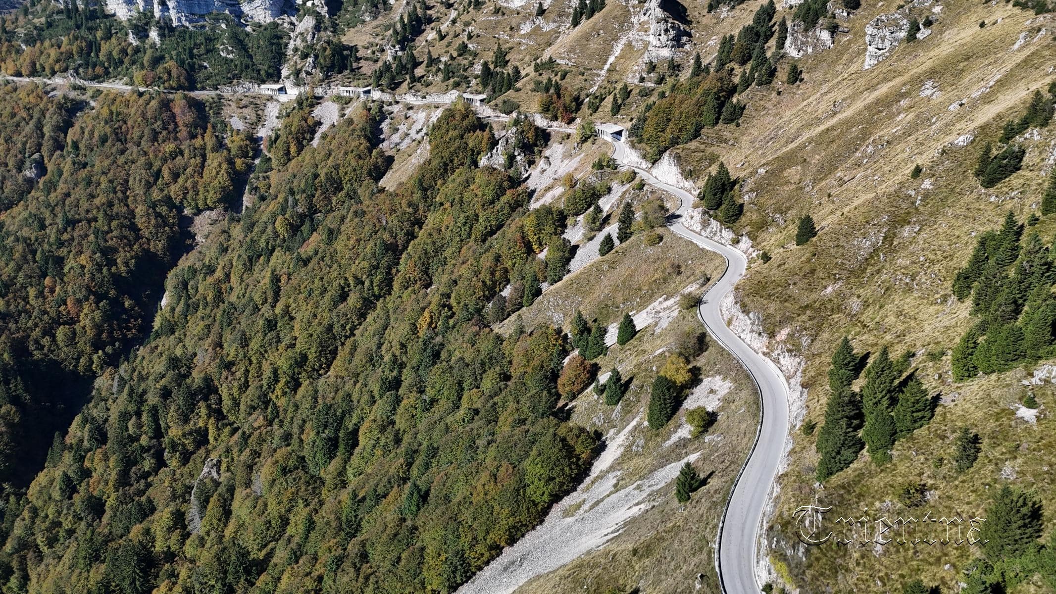 Trientna’s Tour 2025